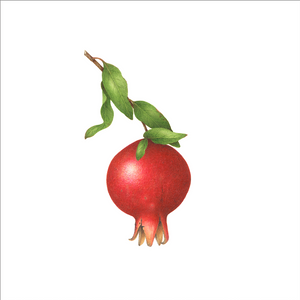 Pomegranate