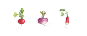 Triptych 3 small vegetables