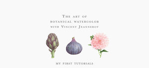 Vincent Jeannerot - Botanical watercolor