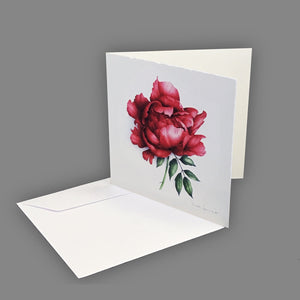 Box of 5 cards - Peonies