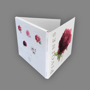 Box of 5 cards - Peonies